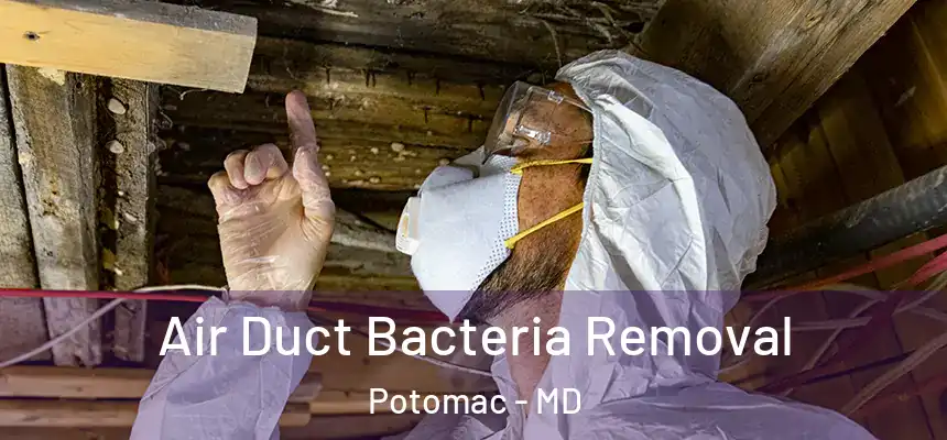 Air Duct Bacteria Removal Potomac - MD