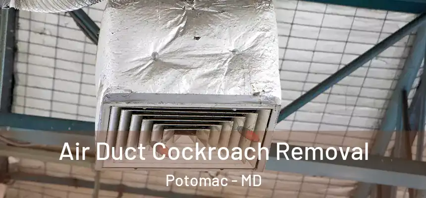 Air Duct Cockroach Removal Potomac - MD