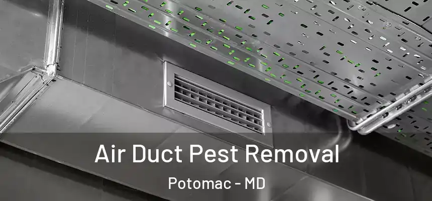 Air Duct Pest Removal Potomac - MD