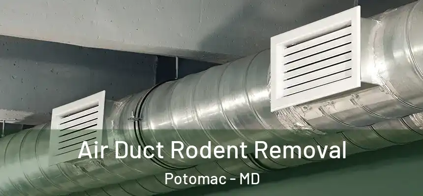 Air Duct Rodent Removal Potomac - MD