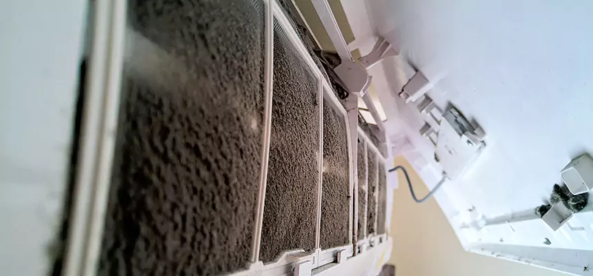 Preventive Air Duct Bacteria Removal in Potomac