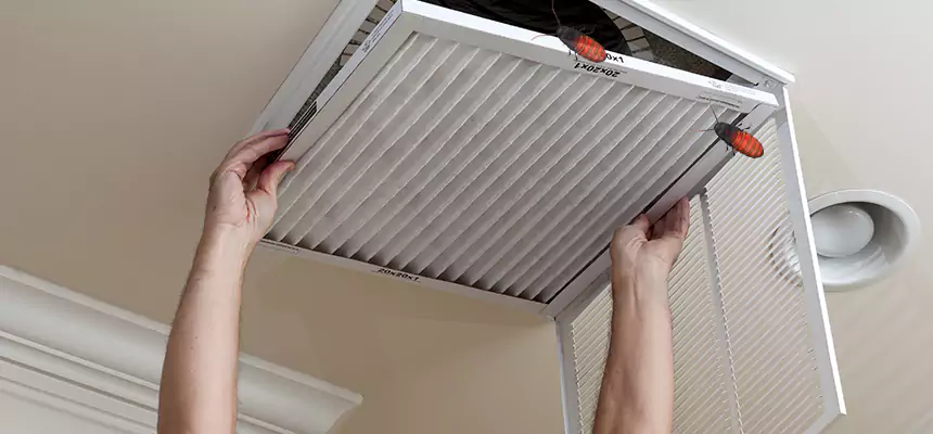 Preventive Cockroach-Proofing for Ducts in Potomac