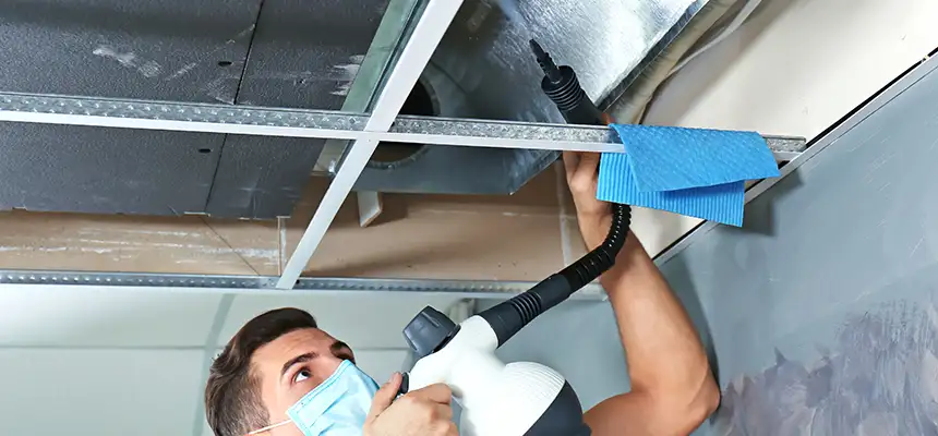 Our Air Duct Rodent Removal Services in Potomac, MD
