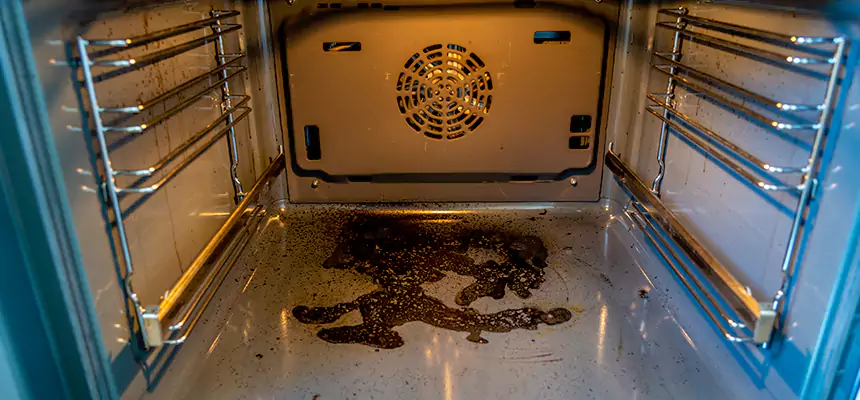 Our Dryer Vent Mold Cleaning Services in Potomac, MD