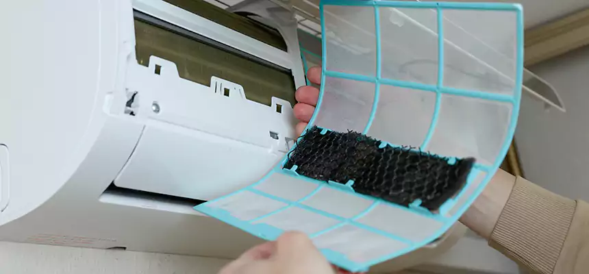 Gentle Ductwork Odor-Control Pet Dander Duct Cleaning in Potomac, MD