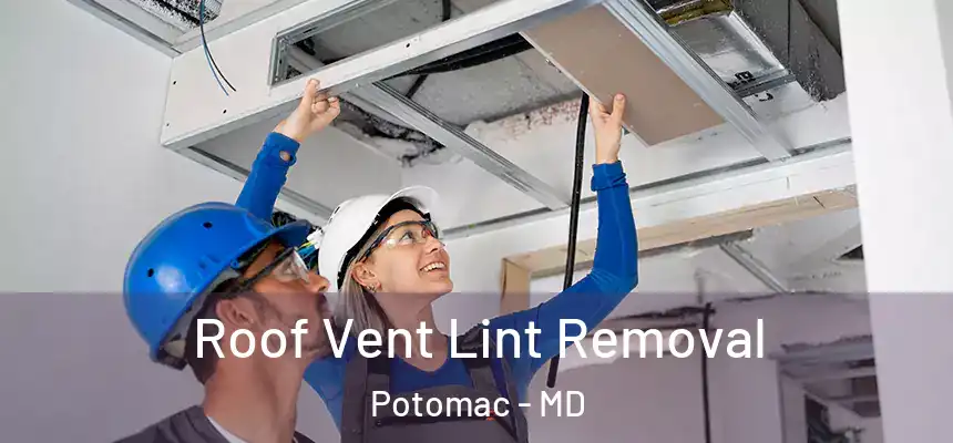  Roof Vent Lint Removal Potomac - MD
