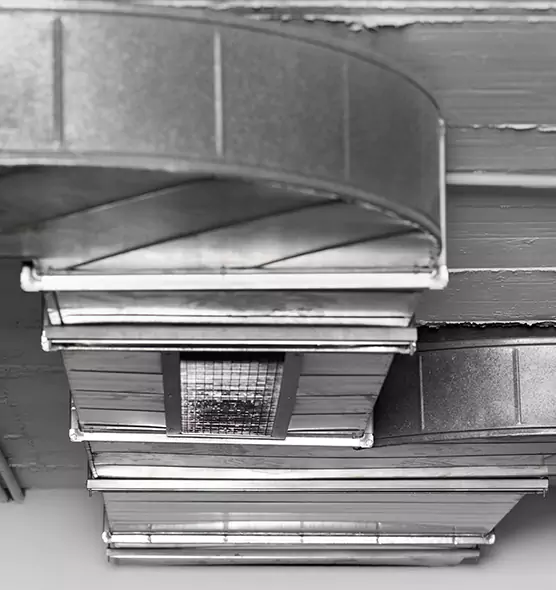 Professional Air Duct Pet Hair Removal in Potomac, MD