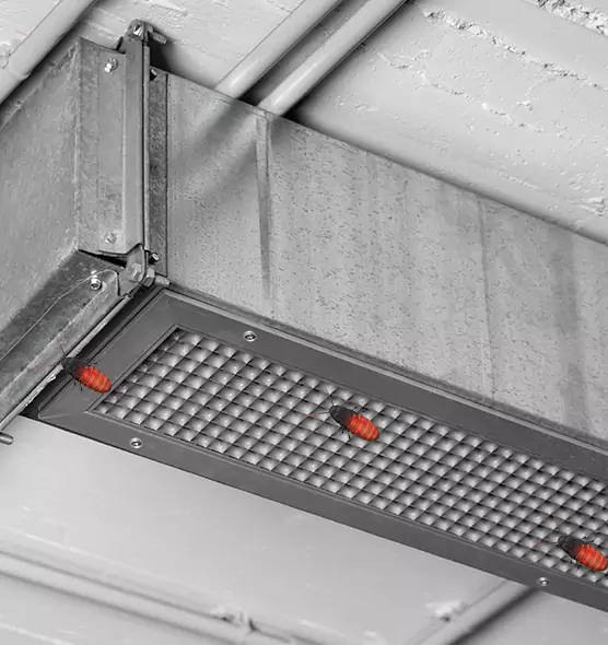 Affordable Insect Removal from Air Ducts in Potomac, MD
