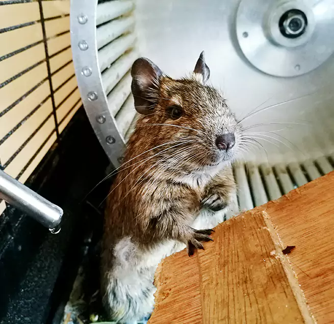 Why Homeowners & Businesses Trust Us Potomac, MD?